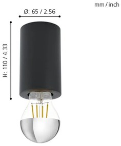 Eglo 99065 - Stropné svietidlo SALUZZO 1xE27/40W/230V