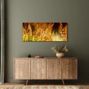 Obraz - Detail rosy (120x50 cm)