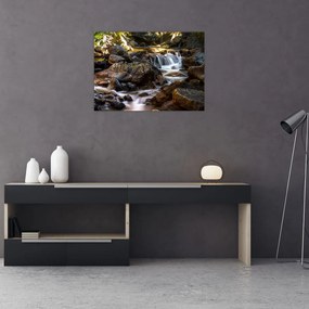 Sklenený obraz kamenistého potoku (70x50 cm)