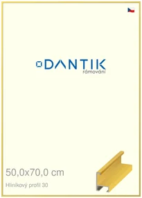 DANTIK rám na obraz 50x70 | ALU Dýha barevná žlutá citrus (Plexi Čiré)