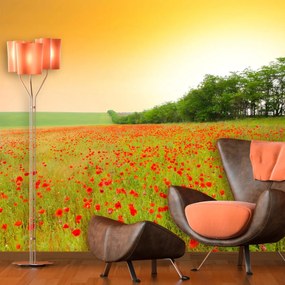 Sablio Tapeta Pole vlčieho maku - 125x75 cm