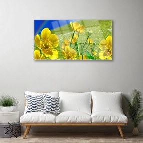Obraz na skle Lúka kvety dúha príroda 120x60 cm