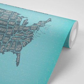 Tapeta náučná mapa USA s modrým pozadím - 300x200