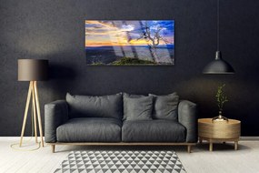 Obraz plexi Strom zápas slnko 100x50 cm