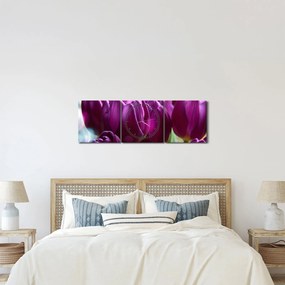 Obraz tulipánov (s hodinami) (90x30 cm)