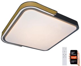 Rabalux 71146 - LED Stmievateľné stropné svietidlo ARILD LED/48W/230V Wi-Fi Tuya