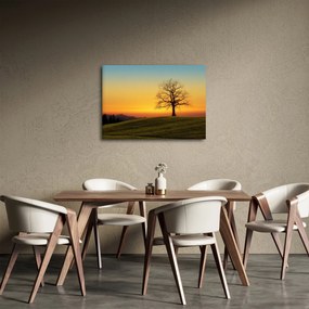 Obraz stromu na poli (70x50 cm)