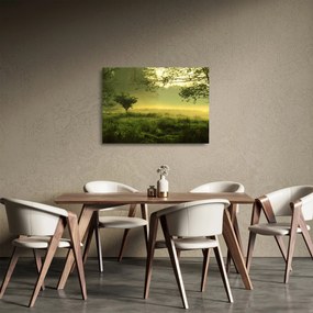Sklenený obraz - Prebúdzajúci sa les (70x50 cm)