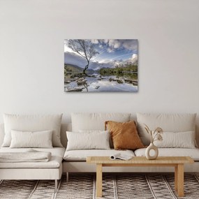 Obraz rieky za stromom (70x50 cm)