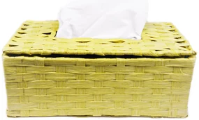 Box na vreckovky svetlý