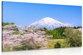 Obraz sopka Fuji Varianta: 60x40