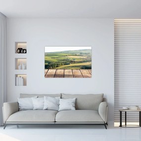 Obraz - Výhľad na krajinu (90x60 cm)