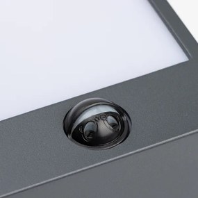 Brilagi-LED Vonkajšie nástenné svietidlo so senzorom TERNI LED/12W/230V antr. IP44