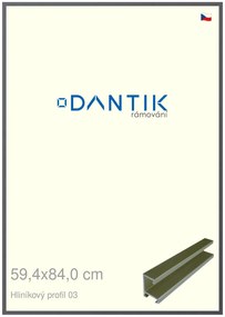 DANTIK rám na obraz 59,4x84 | ALU Platina matná (Plexi Čiré)