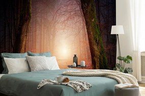 Samolepiaca tapeta les v rozprávkových farbách - 450x300