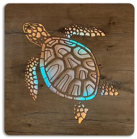 Led obraz Korytnačka RGBW