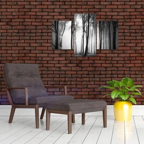 Obraz - Vlk v temnom lese (90x60 cm)