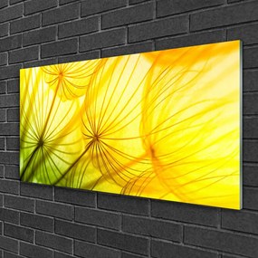 Skleneny obraz Púpavy kvety príroda 140x70 cm