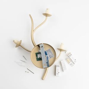 Brilagi - LED Nástenné svietidlo MISTEL 3xG9/3W/230V zlatá