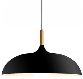 Toolight, Stropné svietidlo ANZO Black, čierna, OSW-06613