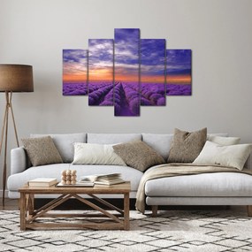 Obraz levanduľového pole (150x105 cm)