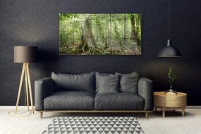Obraz plexi Les príroda džungle 120x60 cm