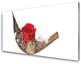 Obraz plexi Ruže kvet rastlina 125x50 cm