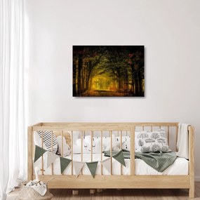 Sklenený obraz lesu (70x50 cm)