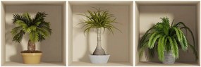 Sada 3 samolepiek s 3D efektom Ambiance Palms