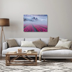Sklenený obraz - Krajina s tulipánovými poľami (70x50 cm)
