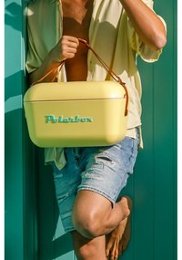 Fialový chladiaci box 20 l Classic Rainbow – Polarbox