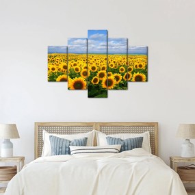 Obraz slnečnicového poľa (150x105 cm)