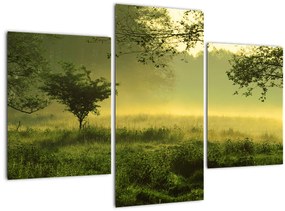 Obraz - Prebúdzajúci sa les (90x60 cm)