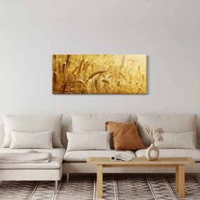 Obraz - Klasy obilia (120x50 cm)