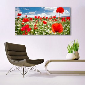 Obraz plexi Lúka kvety príroda 120x60 cm