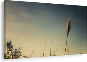 Obraz s trávou (90x60 cm)