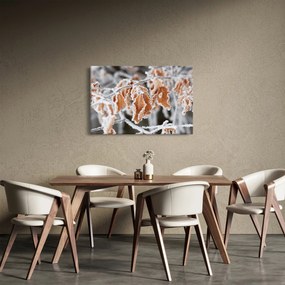 Obraz - Zamrznuté listy (90x60 cm)