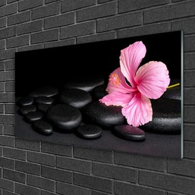 Obraz na skle Kamene kvet umenie 140x70 cm