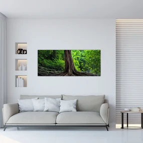 Obraz - Starý strom s koreňmi (120x50 cm)