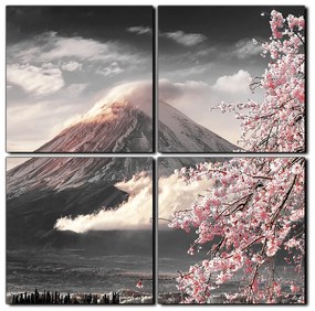 Obraz na plátne - Hora Fuji a čerešňové kvety na jar - štvorec 3266QE (60x60 cm)