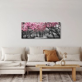 Obraz stromov Magnólie (120x50 cm)