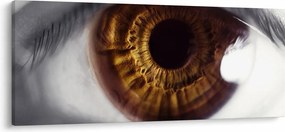 Obraz - Oko (120x50 cm)