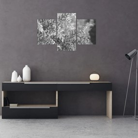 Obraz - Smrekový les (90x60 cm)