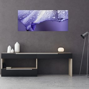 Obraz - Okvetný lístok s kvapkami (120x50 cm)