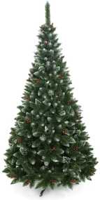 Vianočný stromček Borovica diamantová s jarabinou 120 cm