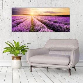 Obraz - Východ slnka v levanduľovom poli (120x50 cm)