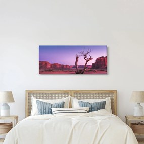 Obraz stromu u červených skál (120x50 cm)