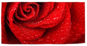 Sablio Uterák Kvet ruže - 50x100 cm