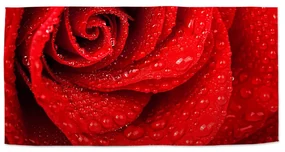 Sablio Uterák Kvet ruže - 50x100 cm