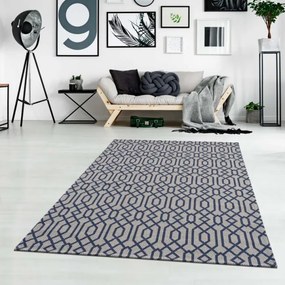 Koberec Casa Cotton 21421 sivý / granátový